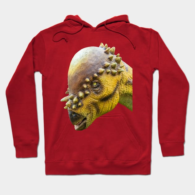 Head of a Pachycephalosaurus dinosaur Hoodie by dalyndigaital2@gmail.com